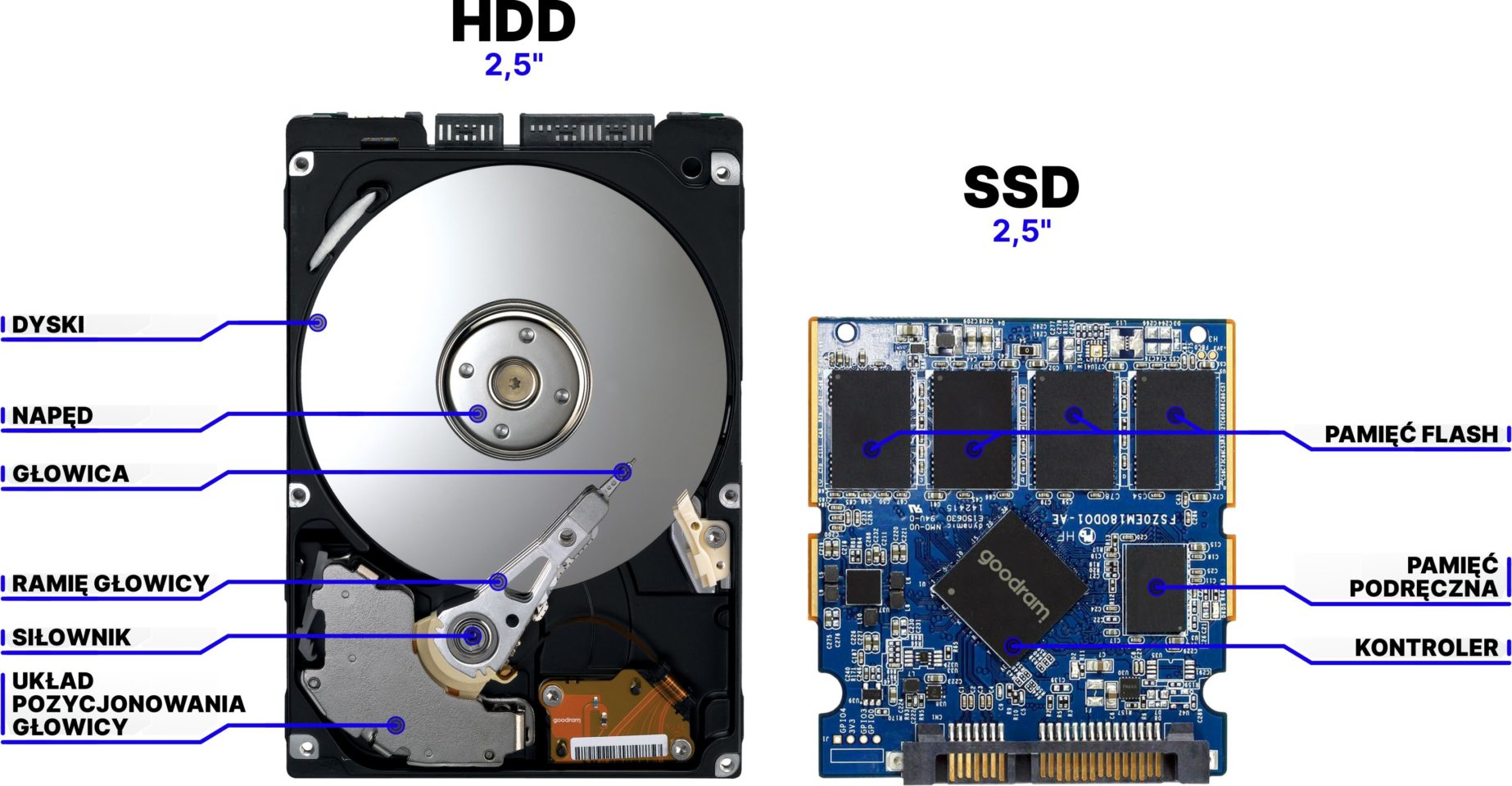 Dysk twardy SSD - jak wybrać, to jest, kupić, budowa i żywotność